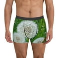 thumbnail image 2 of KLL Dandelion Flower In The Meadow Men's Cotton Boxer Briefs Underwear-X-Large, 2 of 7