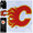 Calgary Flames, variant on Diamond Dotz NHL Vancouver Canucks Hockey Diamond Painting Kits for Adults - Diamond Art Kits a Relaxing Creative Craft Kit with Dotz Gems 12.6"x 12.6"