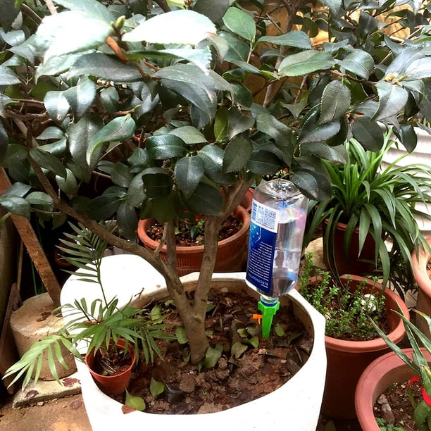 4 x irrigation automatique pour plantes d'intérieur, distributeur d'eau  pour plantes