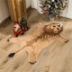 thumbnail image 1 of Xihbxyly Liquidación de verano Alfombras para decoración del hogar para mascotas, alfombras para interiores y exteriores., 1 of 7