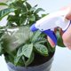 thumbnail image 4 of Multi Botella de spray de agua vacía con gatillo transparente de plástico de 500ml, atomizador, planta de flores, 4 of 5