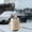 D, variant on Zedker Molecular Interference Antifreeze For Snow Clearing, Vehicle Microwave Defroster Instrument, Microwave Defroster Car D