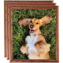 ArtToFrames 20" x 24" Honey Oak Picture Frame, 20x24 inch Brown Wood Poster Frame (WOM-4380), 3 Pack