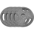 thumbnail image 2 of Royalbelle Gray Cast Iron Weight Plates with Triple Grip Handles, 1 Inch Standard, 2 of 7