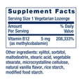 thumbnail image 4 of Life Extension Vitamin B12 Methylcobalamin, 5 mg - Dissolvable Vitamin B Supplement for Nerve, Brain Health & Energy - Gluten-Free, Non-GMO - 60 Vegetarian Lozenges, 4 of 10