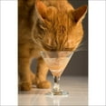 thumbnail image 4 of Hartz Delectables Bisque Lickable Wet CAT Treats, 4 of 8