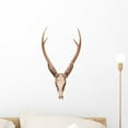 thumbnail image 1 of Samba Deer Skull H)orn Wall Mural Decal by Wallmonkeys Vinyl Peel and Stick Graphic (18 in H x 13 in W), 1 of 4