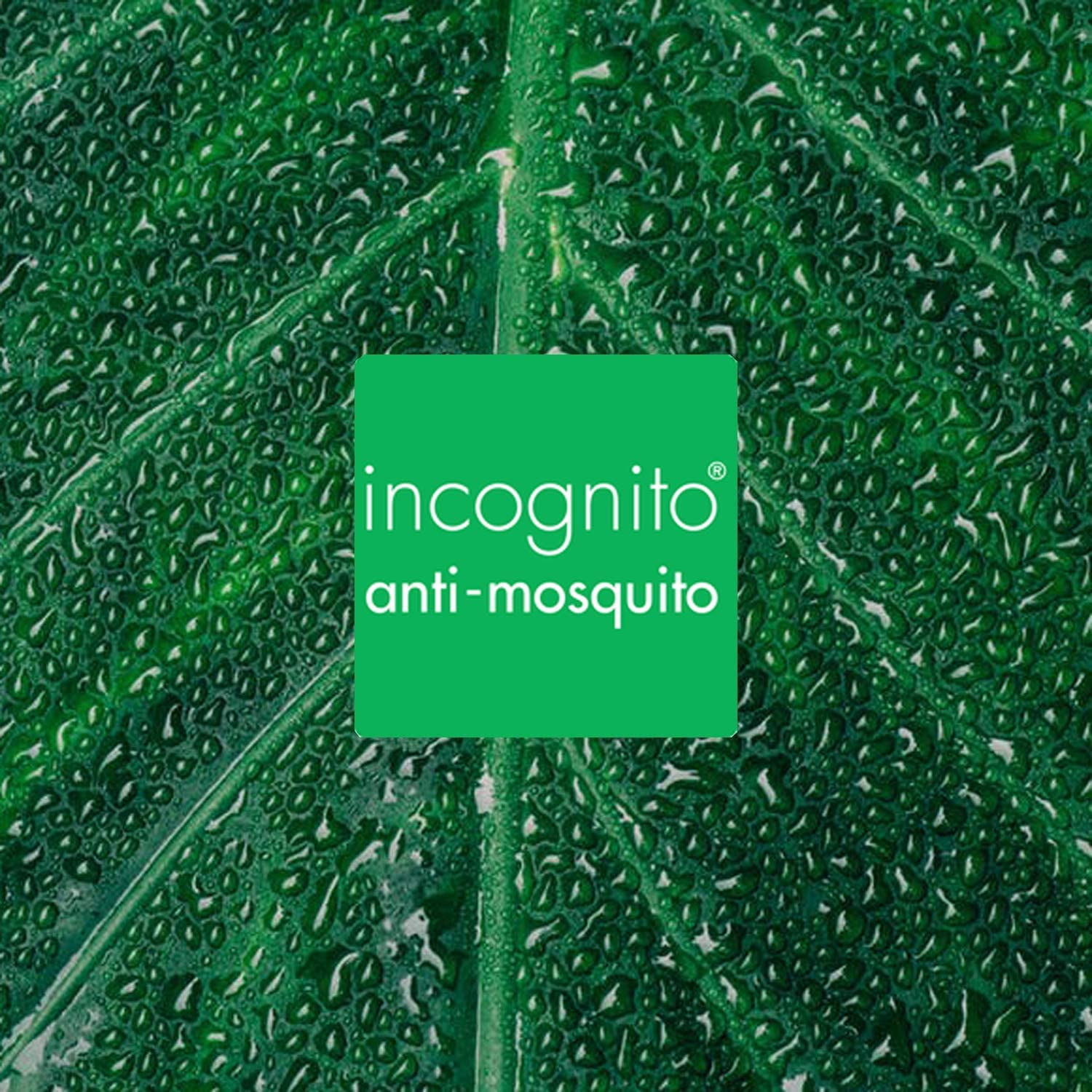 Incognito Multi - Award Winning 100% Natural DEET FREE Insect Repelling 2 in 1 Hair and Body Wash 6.7floz (200ml)