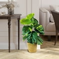 thumbnail image 2 of LCG Florals Artificial Plant, Pothos Plant, 2.5 ft, Natural Decorative Basket, 2 of 6