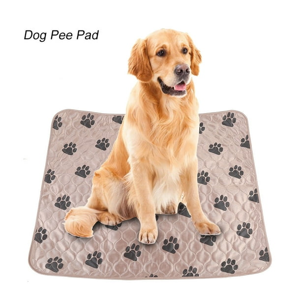 Viccilley Alfombrillas Reutilizables para orinar para Perros, Lavables, Almohadillas de adiestramiento para Mascotas, Almohadillas de absorción para allanamiento de Morada (31,5 x 35,4 Pulgadas)