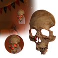 thumbnail image 2 of Home Improvement,Halloween Decorations Night Light For Party Home Resin Skeleton Lamp Creepy Event Lighting, Event & Party, 2 of 4