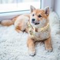 thumbnail image 4 of Hearth & Gear Cool Pet Scarf Cool Scarf For Dogs Summer Heat Prevention Cool Scarf For Dogs Neck Dog Name Christmas Custom Dog Custom Dog Leash Boy Dog Leash Dog Colors with Names Dog Name Dog Color, 4 of 5