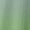 Green, variant on Long Sleeve Shirts Fashion Clothing Summer Tops T-Shirt For Women