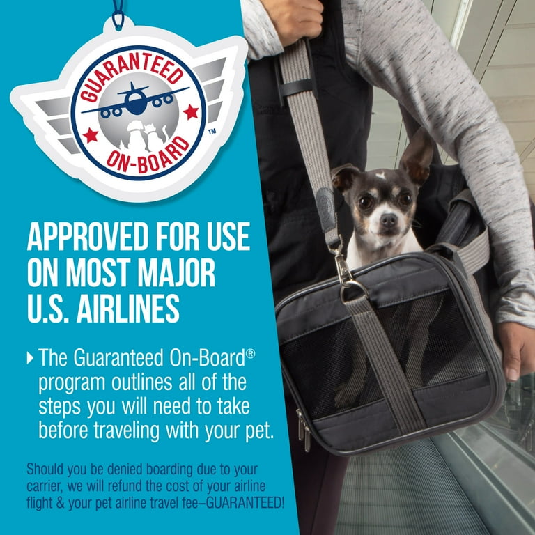 How Much Does A Dog Carrier Cost