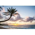 thumbnail image 2 of Gulin, Sylvia 14x11 Gold Ornate Wood Framed with Double Matting Museum Art Print Titled - Hawaii-Oahu-North Shore at sunset and palm tree, 2 of 4