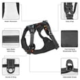 thumbnail image 3 of Vsdgher Flame Metal Skull Pattern Dog Harness,No Pull Pet Harness with Soft Padded Handle,Adjustable Reflective Vest with 2 Buckles,4 Slide Buckles,S-XL Large, 3 of 5