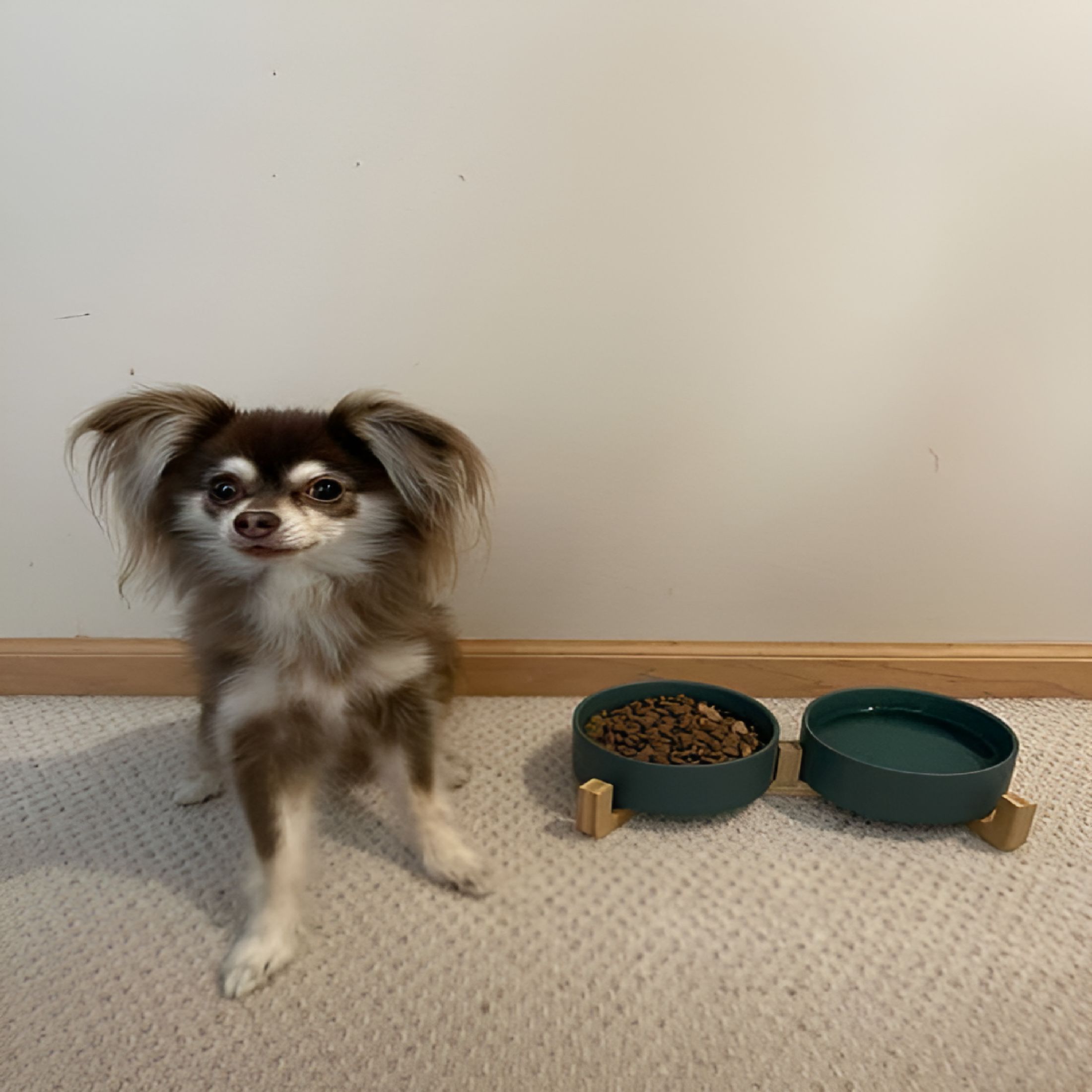 ACDANC 2026 New Ceramic Dog and Cat Bowl with Wood Stand Non-Slip Matte Glaze Weighted Food Water Set for Cats & Small Dogs 13.5Oz