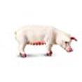 thumbnail image 3 of Safari Ltd Safari Farm Sow, 3 of 3