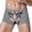 Gray, variant on TSADFHJI Manmade Underwear Men Men's Shorts Underwear Pants Briefs Lingerie Men's Underwear L Blue