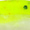 Chartreuse Shad, variant on Berkley Gulp! Alive Minnow Soft Bait