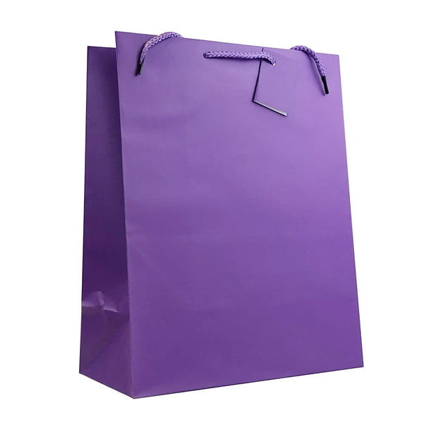 Allgala 12PK Value Premium Solid Color Paper Gift Bags  (13