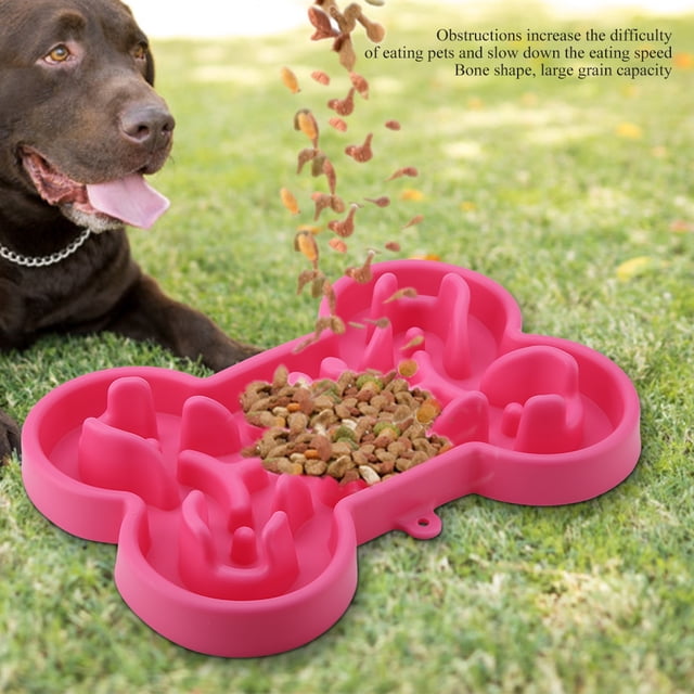 Tazón de alimentación lenta antideslizante Spptty para perro gato cachorro gatito ecológico azul Rojo