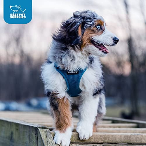Voyager Step in Air Dog Harness All Weather Mesh Step in Vest Harness for Small and Medium Dogs Turquoise Matching Trim S Chest 14.5 17