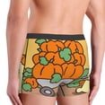 thumbnail image 7 of Lsque Sanrio Pattern Men’s Total Support Pouch Boxer Briefs, X-Temp Cooling, Moisture-Wicking Underwear, Regular, Long-leg and Trunk-XX-Large, 7 of 7