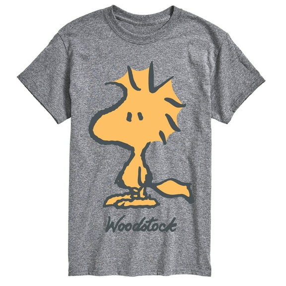 Peanuts - Woodstock - Men's Short Sleeve Graphic T-Shirt