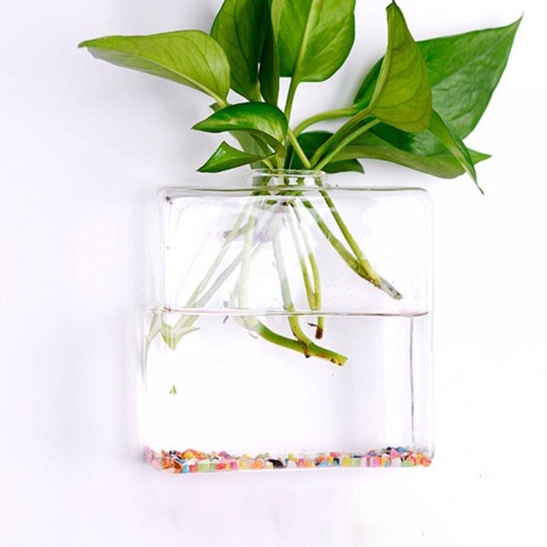 Glass Wall Hanging Planter Terrariums Globe Flower Vase for Air Plants