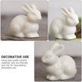 thumbnail image 3 of 5PCS White Rabbit Ceramic Decor for Moss Micro Landscape (S White), 3 of 8
