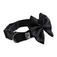 thumbnail image 2 of Collar con moño Infanti Pets negro mediano, 2 of 5