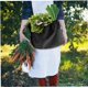 thumbnail image 3 of Bolsa de forrajeo al aire libre Lona de jardín de vegetales Plegable Bolsa de forrajeo para acampar al aire libre Almacenamiento de hongos (Negro) TUNC Sencillez, 3 of 5