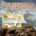 thumbnail image 4 of PVCS Rocks & Fossils Kit – 24 Grids Start a Rock, Mineral, & Fossil Collection, STEM Science Kit for Kids, 4 of 8