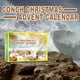 thumbnail image 4 of Conch Storage Gift Box,Provides Kids Educational Toys,Suitable Gift, 4 of 9