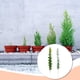 thumbnail image 4 of Ramos de flores artificiales Matsuzay 10 piezas de plástico eucalipto verde decoración, 4 of 6
