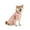 Pink, variant on Recovery Suit for Dogs Cats After Surgery, Professional Pet Recovery Shirt Dog Abdominal Wounds Bandages, Prevent Licking Dog Onesies Pet Surgery Recovery Suit