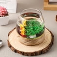 ITSELFER Glass Fish Bowl Glass Terrarium Goldfish Tank Vase Bowl