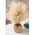 thumbnail image 5 of Home Decor Collection 16.5 " Pampas Dried Grass in Brown Ceramic Vase Made for Tabletops- 2 lbs, 5 of 9