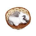 thumbnail image 3 of KAKOWELY Cesta de simulación de gato, juguete de peluche creativo, divertido adorno de escritorio para el hogar y la sala de estar (estilo aleatorio)., 3 of 5