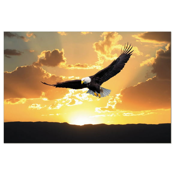 Tree-Free Greetings EcoNotes Stationary- Blank Note Cards with Envelopes, 4" x 6", Bald Eagle Soaring, USA Themed, Boxed Set of 12 (FS56115)