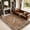 Brown Rust, variant on Toyoso 5x7 Washable Area Rugs for Living Room - Vintage Distressed Floral Neutral Boho Farmhouse Thin Soft Large Rug Indoor Floor No Slip Rug Carpet for Bedroom Dining Room Decor - Brown