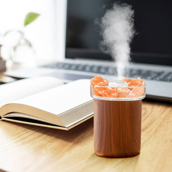 Amzcrzy Electrónica para hombres Organizador de electrónica Cámara digital Mini humidificador de 280 ml, vapor frío, portátil, de escritorio, con dos modos de nebulización, silencioso, ideal para beb