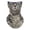 Light Blue, variant on Women Men Neck Gaiter Scarf Cute Cat and Dog Print Headband for Summer Outdoor Riding Sports Breathable Half Faces Cover Brown