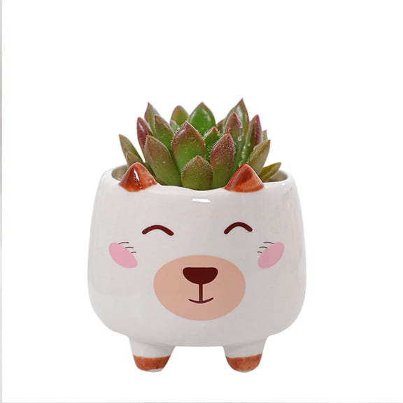 kjfeif Unique Design Animal Pot Ceramic Succulent Plant Pot , Cactus Potted Planting Bonsai Pots Set , Boho Flower Plant Pots for Indoor and Outdoor Gardening
