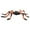 Orange, variant on QYROS 75CM Colorful Giant Spider Halloween Decoration - Realistic Green Spider Web Crawler for Haunted House, Yard, and Indoor Party Decor,Green