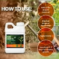 thumbnail image 3 of Yield Titan's 100% Pure Cold Pressed Concentrated Neem Oil for Indoor and Outdoor Plants and Vegetable (16OZ), 3 of 6