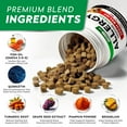 thumbnail image 3 of StrellaLab Dog Allergy Relief & Anti Itch Relief for Dogs Chews with Omega 3 - Skin & Coat Immune Supplement with Fish Oil, Pumpkin & Enzymes — Developed by Experts - Made in USA - 120 Count, 3 of 8
