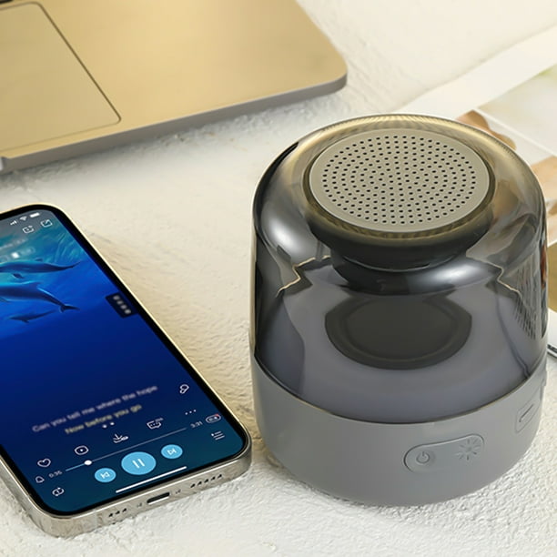 Enceinte Bluetooth Sans Fil - Mini Enceinte - Enceinte Portable