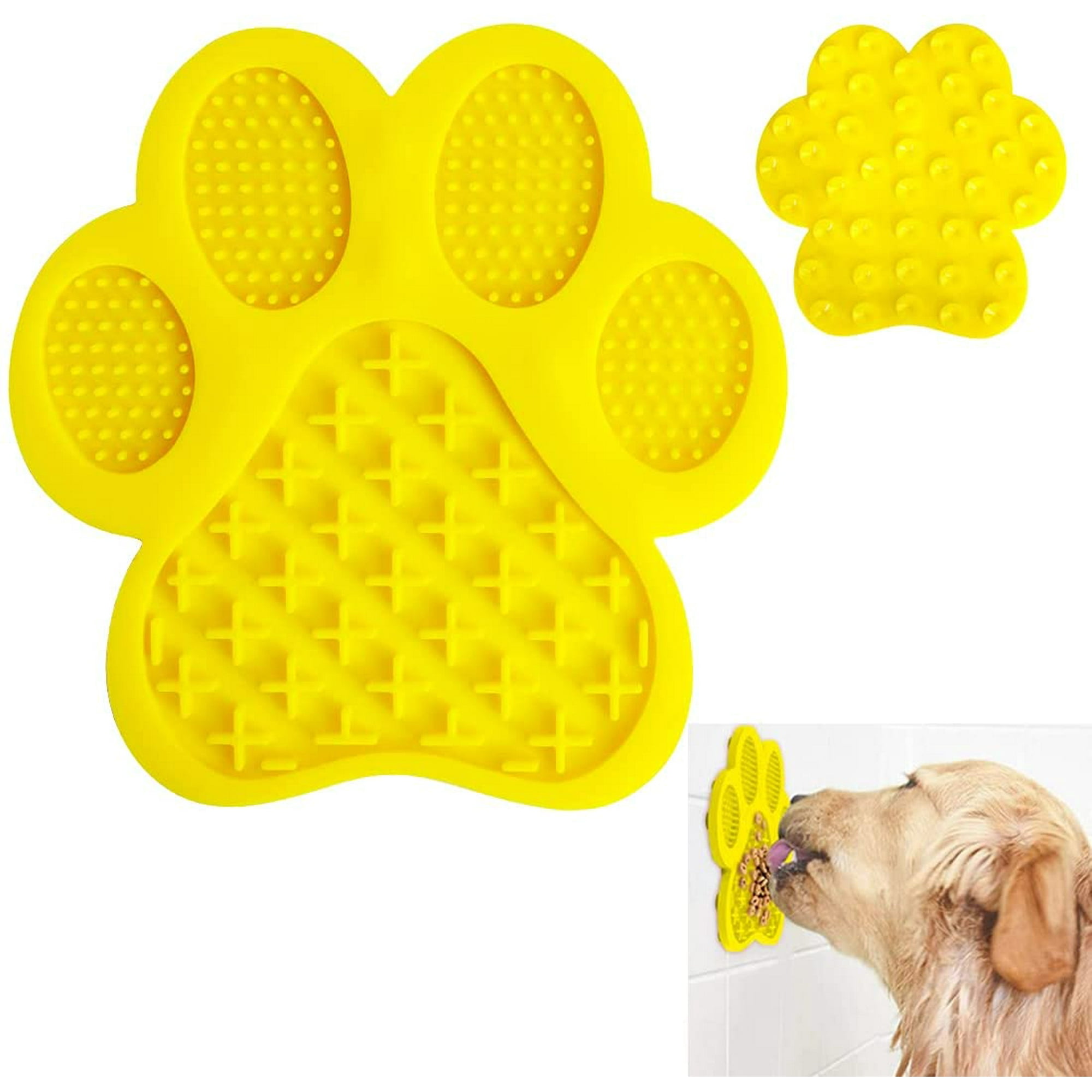 Why A Dog Licks The Carpet